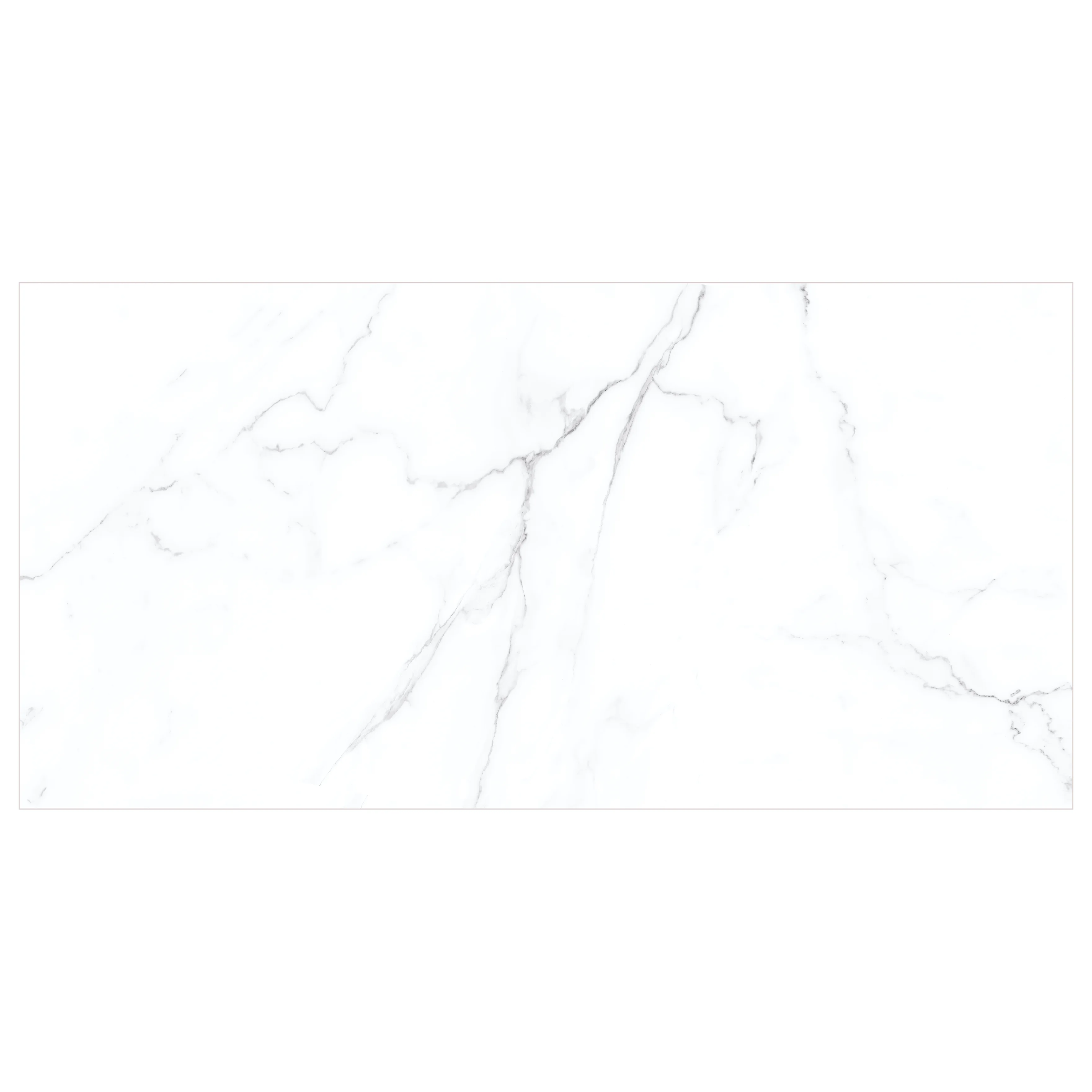 CALACATTA 60X120 MAT