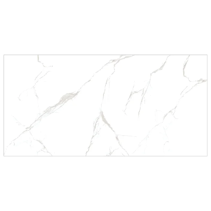 CLASSIC CARRARA 60X120 MAT